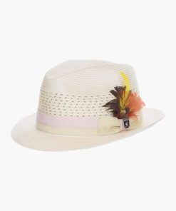 Synergyseam.shop43cc2e49a9 1